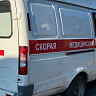В Саратове на женщину напала бездомная собака